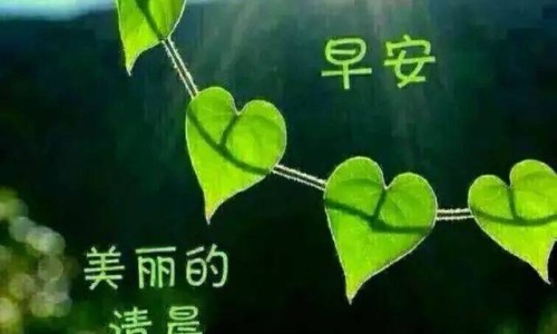 季节性鼻炎怎么调理最好、季节性鼻炎缓解小妙招 -季节性鼻炎吃什么食物调理网